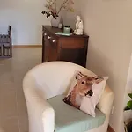 Maison Familiale 6 Personnes Terrasse Couverte Et Jardin Prive וילה Huos