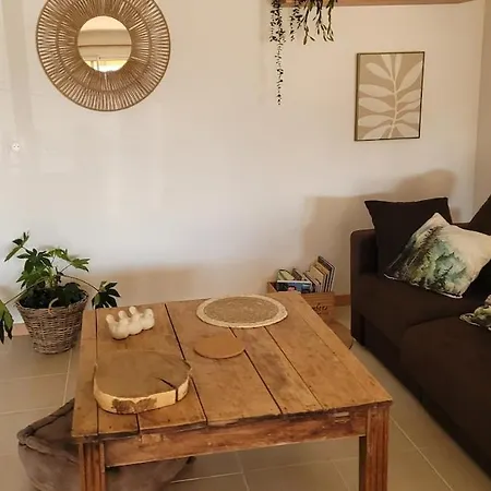 Maison Familiale 6 Personnes Terrasse Couverte Et Jardin Prive Huos